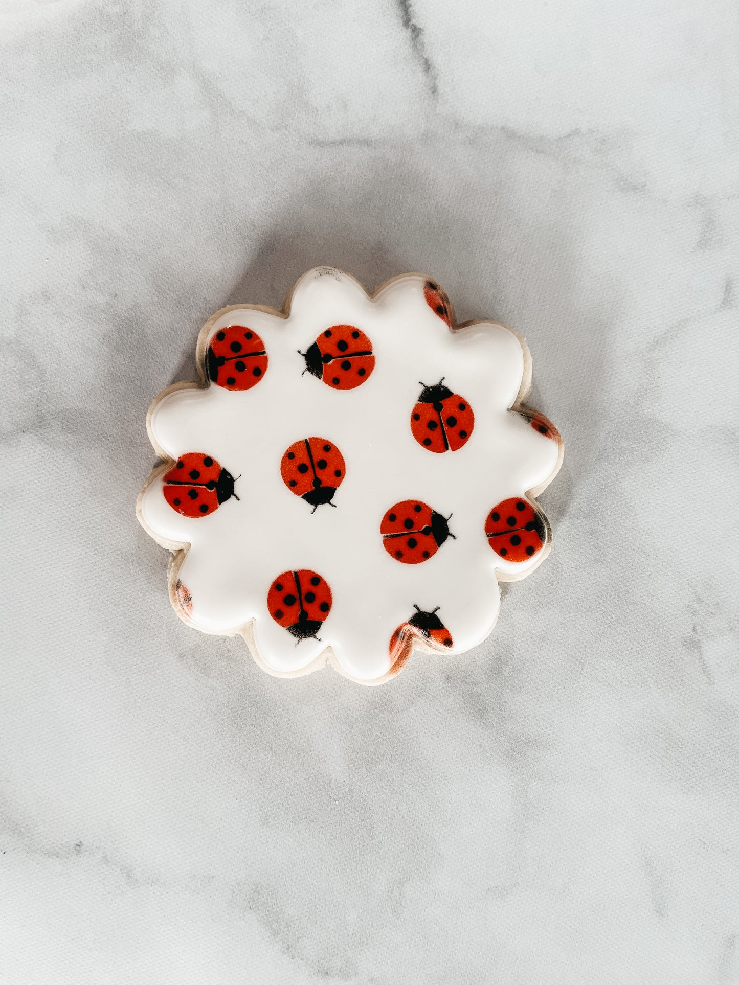 Ladybug 2-Part Cookie Stencil